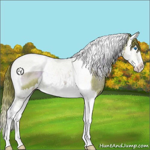 Horse Color:Watercolor Liver Red Onyx Splash Tobiano 
