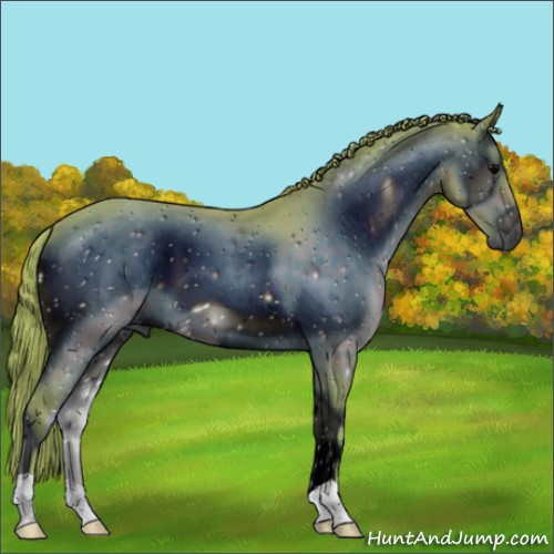 Horse Color:ERROR: UNKNOWN ANOMALY