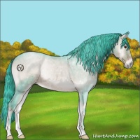 Horse Color:Watercolor Liver Red Onyx Roan 