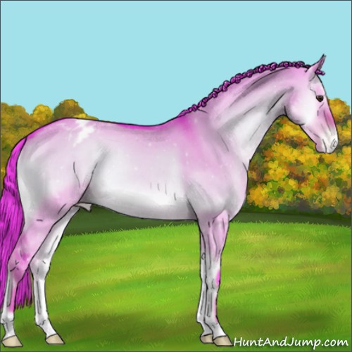 Horse Color:Watercolor Liver Red Dun Onyx Appaloosa 