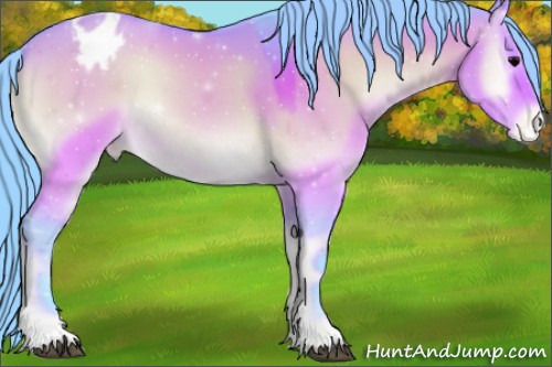 Horse Color:Watercolor Bay Onyx Appaloosa 