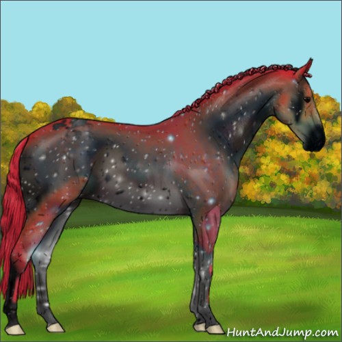 Horse Color:ERROR: UNKNOWN ANOMALY