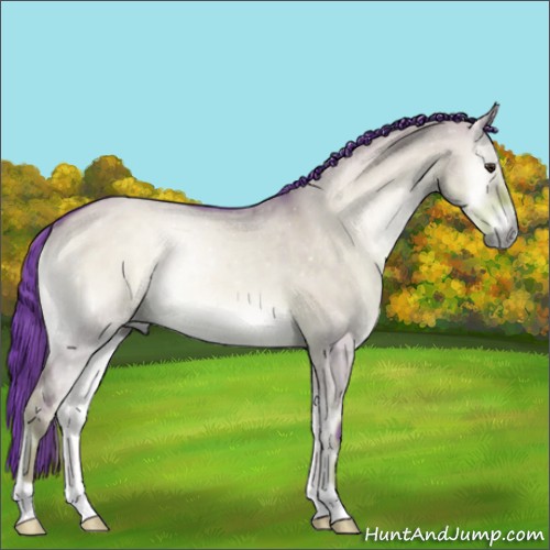 Horse Color:Watercolor Liver Red Dun Onyx 