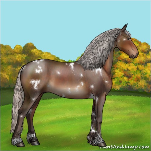 Horse Color:White Spotted Silver Brown Sabino 