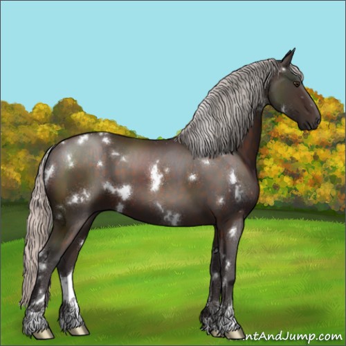 Horse Color:White Spotted Silver Brown Sabino 