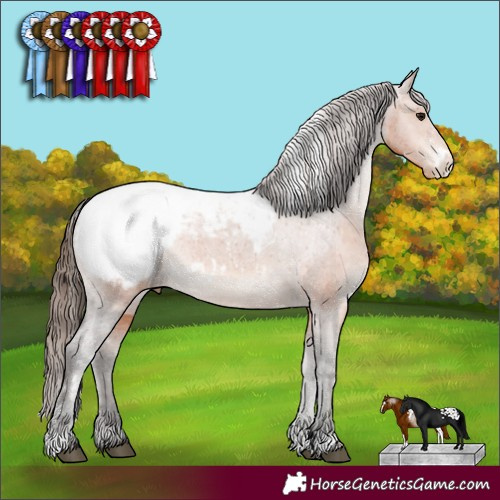 Horse Color:White Spotted Brown Sabino Appaloosa Rabicano 