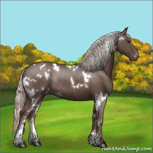 Horse Color:White Spotted Silver Black Sabino Appaloosa Rabicano 