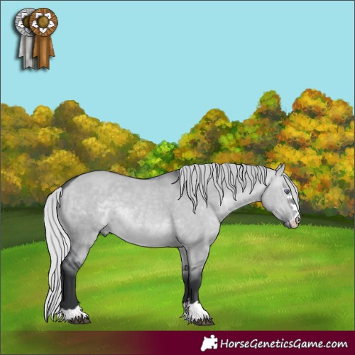 Horse Color:Silver Brown Chinchilla Dun 