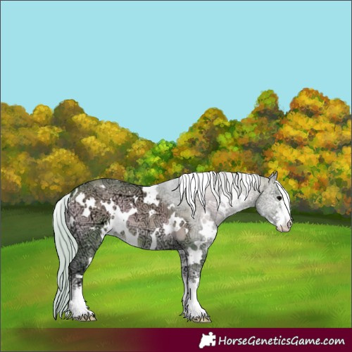Horse Color:Watercolor White Spotted Silver Bay Ice Onyx Sabino 