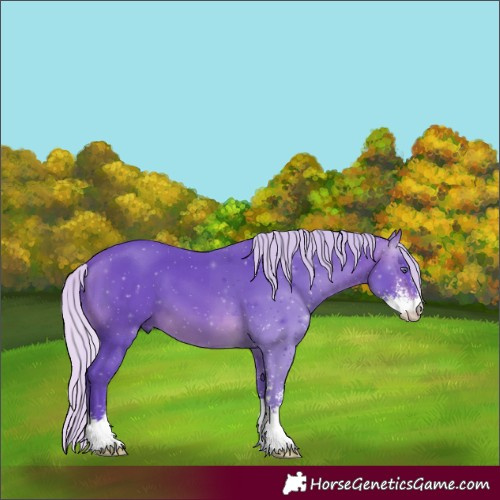 Horse Color:Watercolor Silver Brown Chinchilla Sabino 