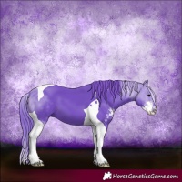 Horse Color:Watercolor Black Sabino Tobiano 