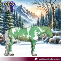 Horse Color:Watercolor White Spotted Silver Brown