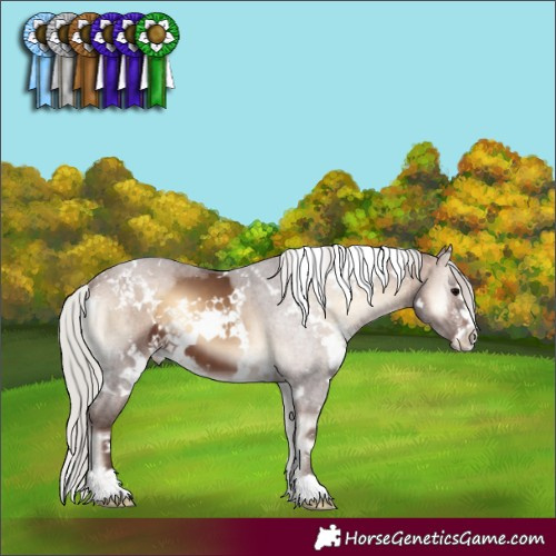 Horse Color:White Spotted Silver Brown Onyx 