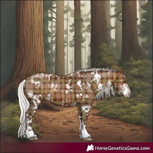 Horse Color:Plaid  White Spotted Silver Bay Sabino 
