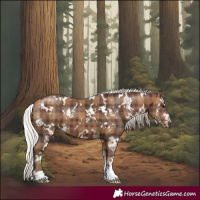 Horse Color:Plaid White Spotted Silver Bay Sabino