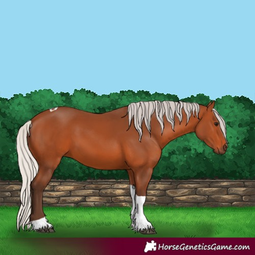 Horse Color:Silver Bay Tobiano