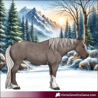 Horse Color:Silver Blue Roan Tobiano 