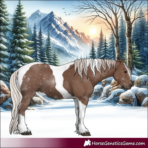 Horse Color:Silver Black Tobiano