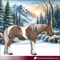 Horse Color:Silver Black Tobiano 