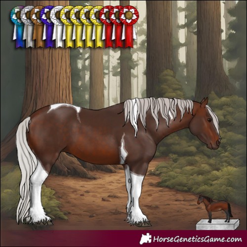 Horse Color:Silver Brown Tobiano 