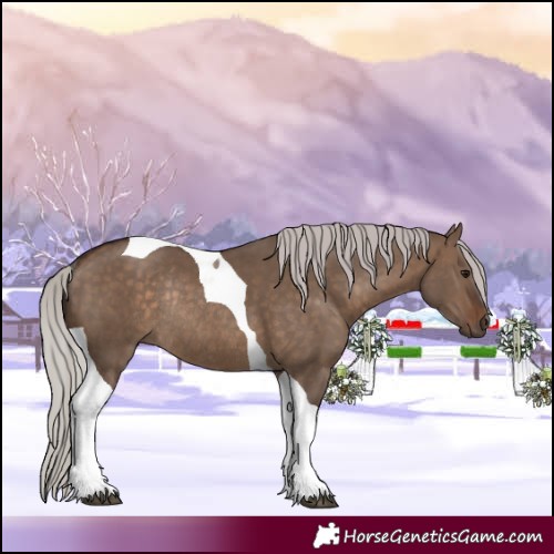 Horse Color:Silver Brown Dun Tobiano Rabicano