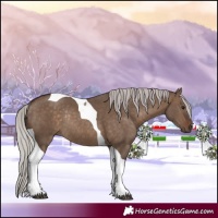 Horse Color:Silver Brown Dun Tobiano Rabicano 