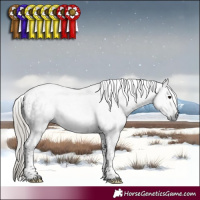 Horse Color:Gray Silver Brown Tobiano