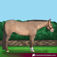 Horse Color:Sable Champagne Rabicano