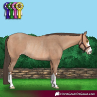 Horse Color:Amber Champagne Rabicano 