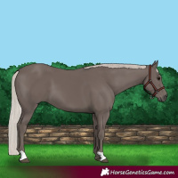 Horse Color:Silver Black 