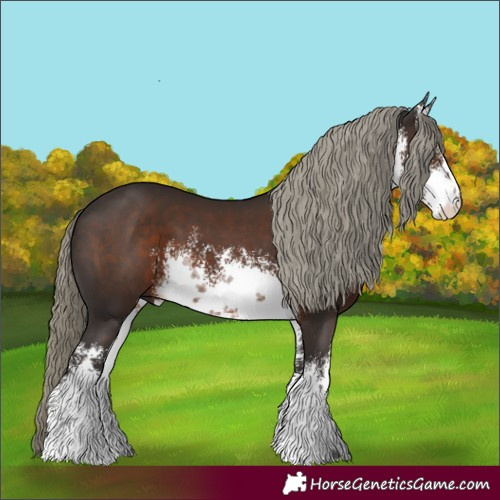Horse Color:White Spotted Liver Chestnut Mushroom
