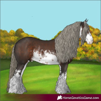 Horse Color:White Spotted Liver Chestnut Mushroom 