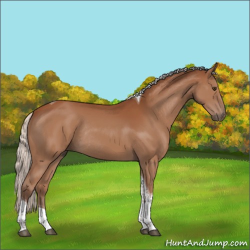 Horse Color:Silver Bay Tobiano Rabicano 