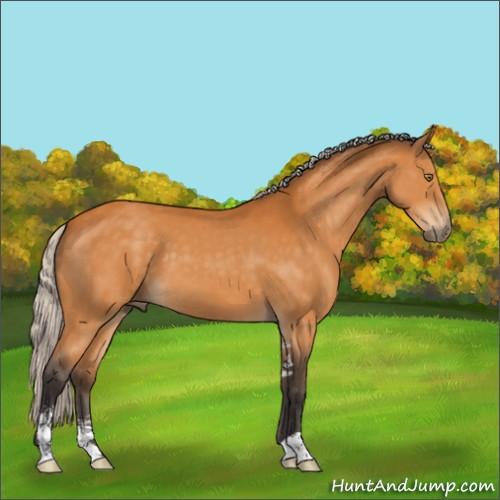 Horse Color:Silver Buckskin Sabino 