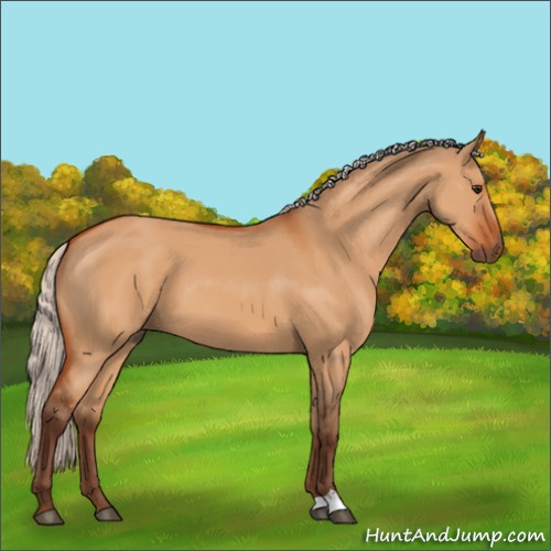 Horse Color:Silver Bay Dun 