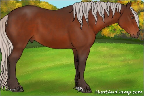 Horse Color:Silver Brown 