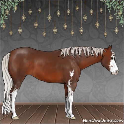 Horse Color:Silver Brown Sabino 