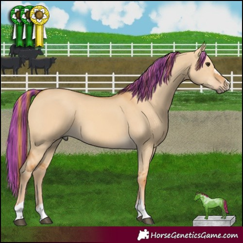 Horse Color:Painted Red Dun 