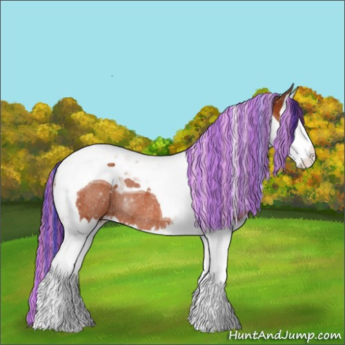 Horse Color:Painted Bay Splash Tobiano Rabicano 