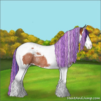 Horse Color:Painted Bay Splash Tobiano Rabicano 