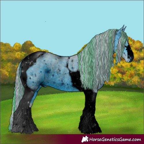 Horse Color:ERROR: UNKNOWN ANOMALY