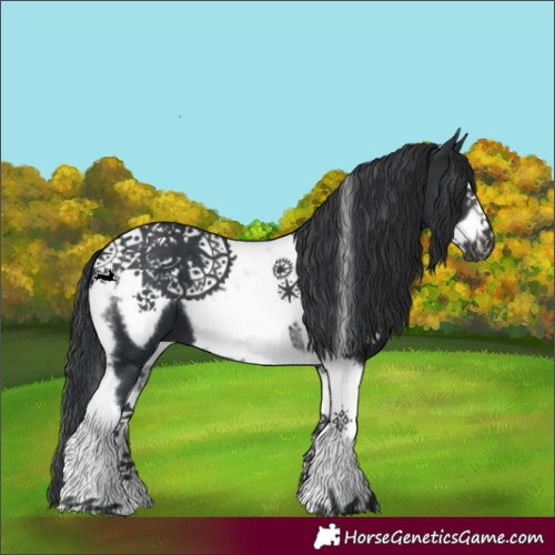 Horse Color:Black Tobiano Frame 