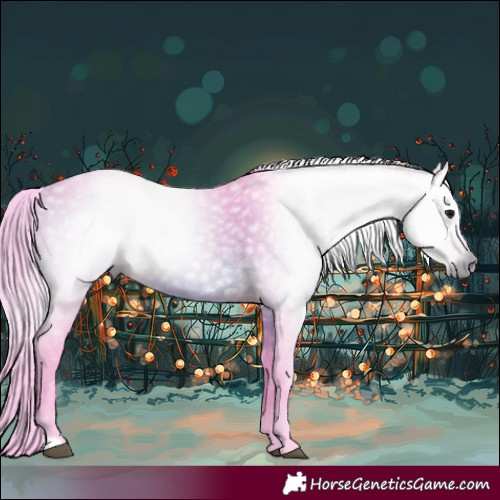 Horse Color:Gray Watercolor Bay 