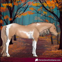 Horse Color:Chestnut Pearl Tobiano