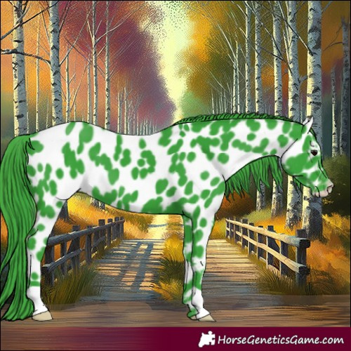 Horse Color:Watercolor Black Appaloosa 