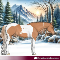 Horse Color:Chestnut Tobiano 
