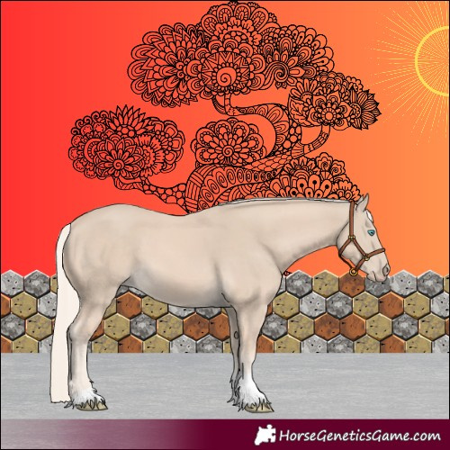 Horse Color:Cremello Tobiano 