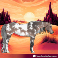 Horse Color:Platinum White Spotted Bay 