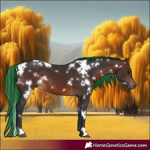 Horse Color:Painted White Spotted Brown 