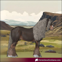 Horse Color:Liver Chestnut Mushroom 